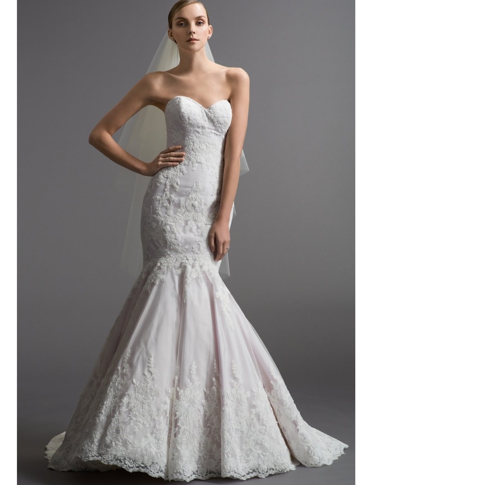 Watters Nicolosa (with original tags) wedding gown